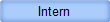 Intern 