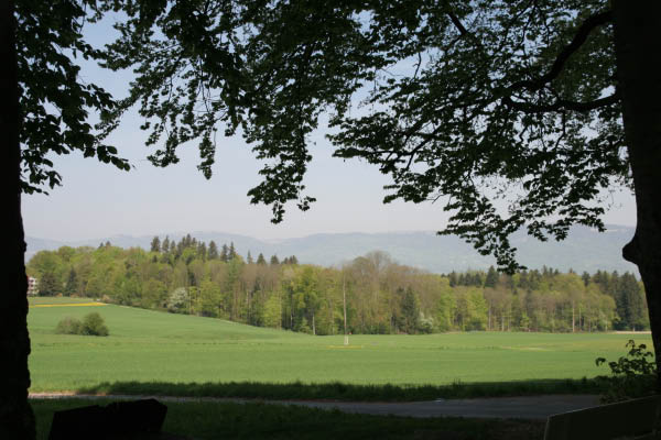 IMG_3041
